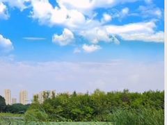 -丁香湖公园