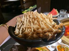 活体菌菇-麻路成都火锅(柏威年店)