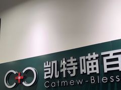 -凯特喵百思猫专科医院