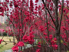 -上海市龙华烈士陵园