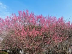 -南京市江宁方山