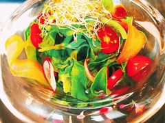 -若蘭慈·无国界素食料理(欢乐海岸店)