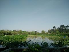 -白鹭湾湿地公园