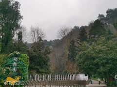 -黔灵山公园