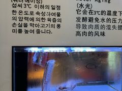 -金轮星光名座生活广场