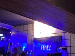 -TINY