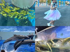 -福州罗源湾海洋世界旅游区