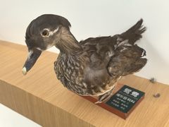 -白鹭湾湿地公园