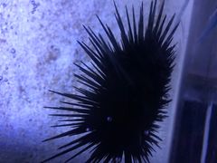 -江和美海洋公园