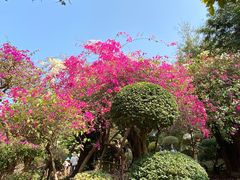 -曼听御花园