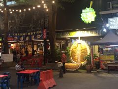 -都念榴莲·城市榴莲