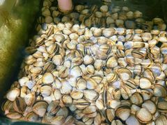 -四海鲜渔家菜(黄金海岸店)
