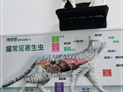-瑞派·爱瑞可动物医院·口腔专科(广华新城分院)