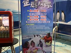 -芜湖新华联大白鲸海洋公园