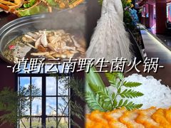 -滇野云南野生菌餐厅(陕西南路店)