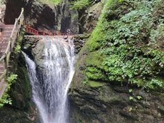 -牛背梁国家森林公园