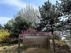-大望京公园