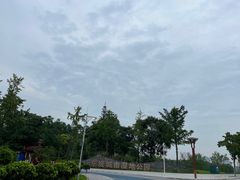 -眉山湿地公园(东坡区)