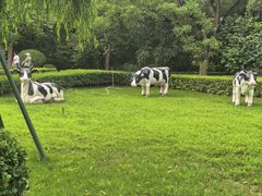 -迎泽公园