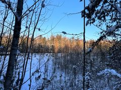 -峡谷浮石林景区