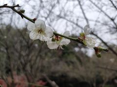 -金山公园