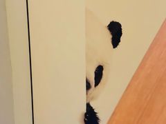 -幸薈飯堂