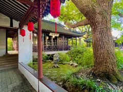-上海醉白池公园