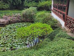 -上海醉白池公园