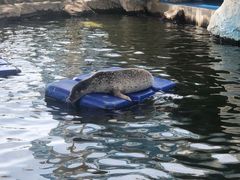 -西安华夏文旅水世界