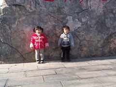 -西苑公园