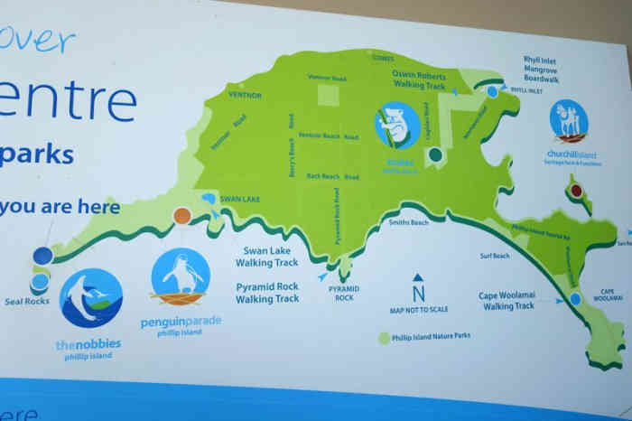 企鹅岛-"企鹅岛是澳洲最知名的观光胜地之一,每年吸."-大众点评移动版