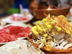 -仙蘑洞