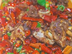 -黑蚂蚁(南河店)