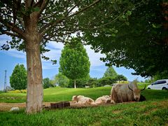 -北京野生动物园