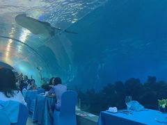 -海棠湾洲际-涛·海底餐厅·美人鱼·自助餐·海底隧道