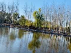 -中家鑫园温泉酒店鑫悦汤泉