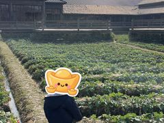 -乌村