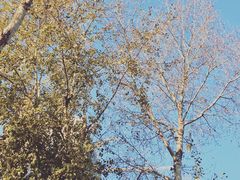 -长春公园(普阳街道)