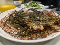 -新吉士·上海菜(浦东LCM置汇旭辉店)