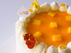 -山与蓝·轻糖鲜果蛋糕(勒泰店)