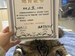 -瑞派紫金宠物医院24小时·骨科·中兽医·重症转诊中心(番禺大石院)