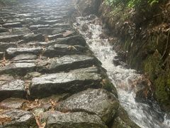 -仙霞关景区