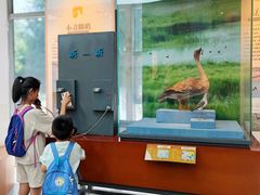 -漩门湾国家湿地公园