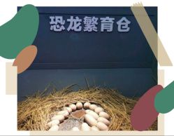 -恐龙探索乐园(磁器口店)