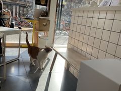 -W Coffee(船板巷店)