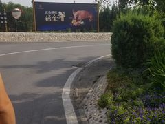 -九十九顶毡房(阜石路店)