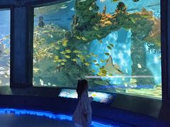 -海合安武汉极地海洋公园