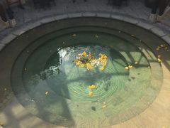 -苏州湾王焰温泉度假酒店