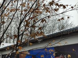 -爱儿美儿童摄影(朝阳公园店)