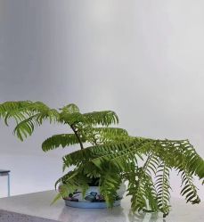 -EMU艺慕摄影(扬中店)